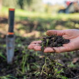 Biochar