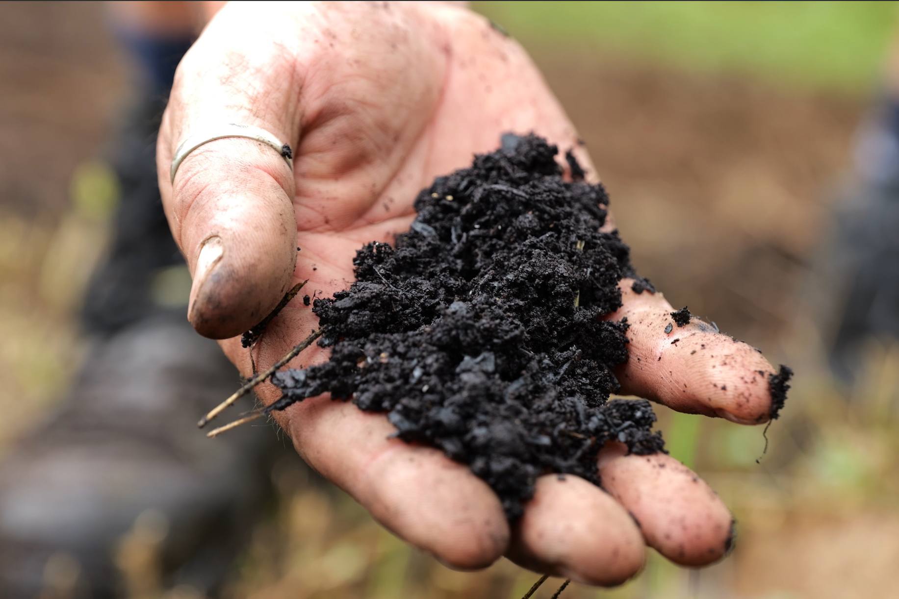 qualità del compost